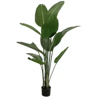 Europalms Strelitzie, Kunstpflanze, 170cm