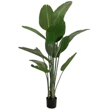Europalms Strelitzie, Kunstpflanze, 170cm