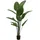 Europalms Strelitzie, Kunstpflanze, 170cm