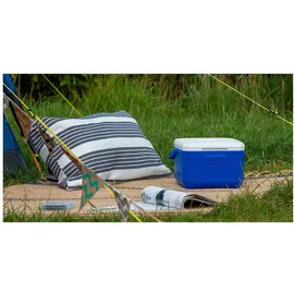 Coleman 5QT Performance Cooler