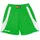 Spalding Jam Short Grün