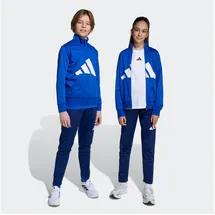 adidas Essentials Climacool Trainingsanzug J BL TR TS 205 JV9959 - team royal blue/white 140