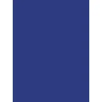 Clairefontaine 384558C - Packung mit 25 Bögen Plakatpapier, 60x80cm,