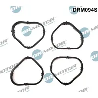 DR.MOTOR AUTOMOTIVE Dichtungssatz, Ansaugkrümmer