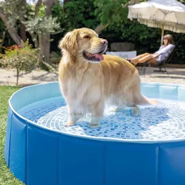 Intex Faltbarer Hundepool Ø 152 cm (48400NP)