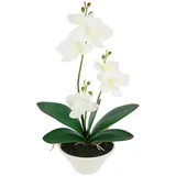 Kunstblume Kunstorchidee im Topf Orchidee, I.GE.A., Höhe 30 cm, 30cm künstliche Orchidee mit Blüten Phalaenopsis Kunstpflanze Pflanze weiß