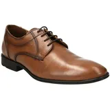 LLOYD Osmond braun 40