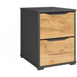 Vicco Nachtschrank Ruben 40,2 x 53,6 x 48 cm Eiche