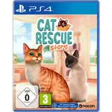 Cat Rescue Story