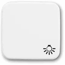 Busch-Jaeger Wippe mit Symbol Licht