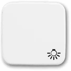 Busch-Jaeger Wippe mit Symbol Licht