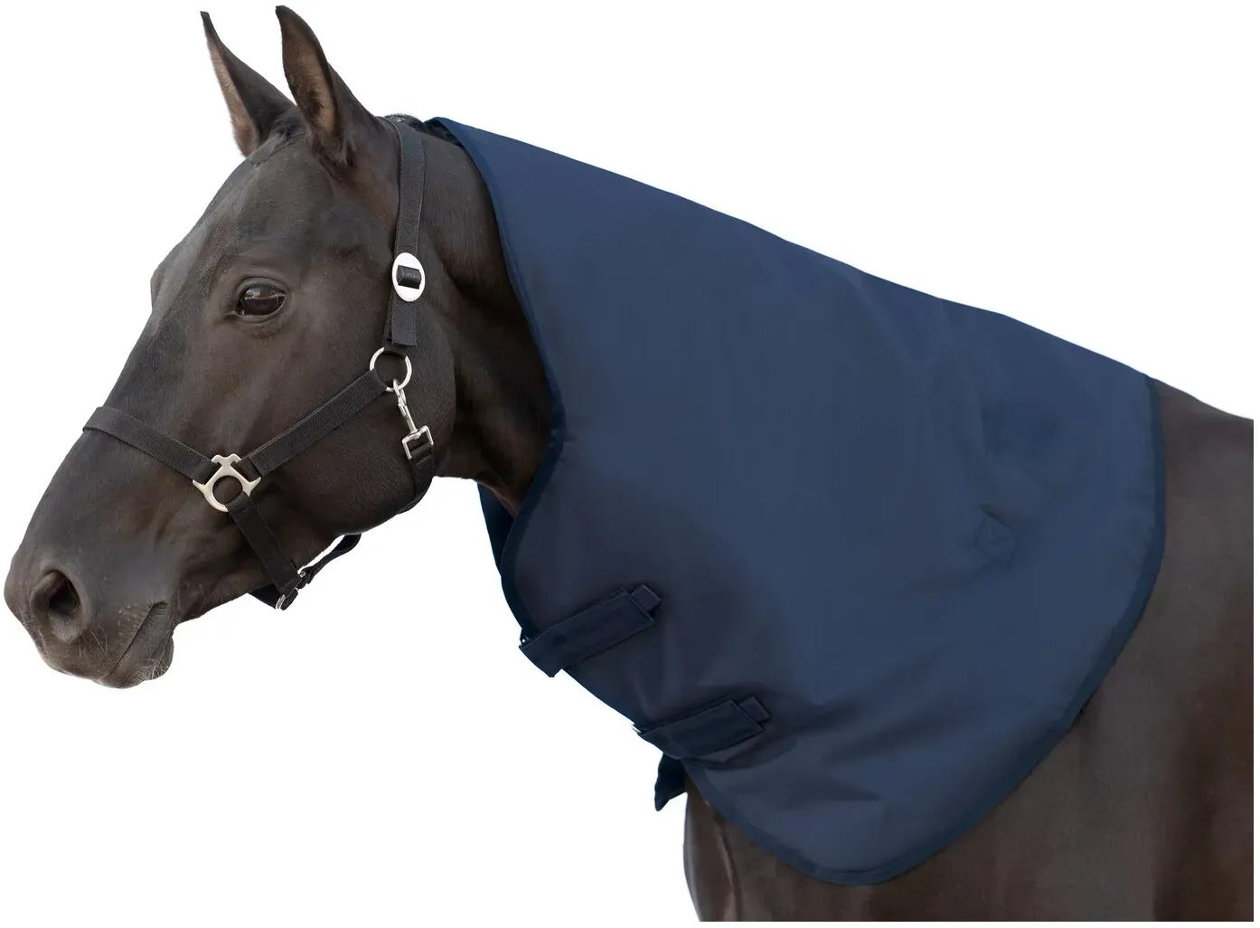 Horse-friends Halsteil Hamburg 100 g navy S