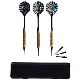 Best Sporting Dartpfeile Fortune 21g 3 Stück inklusive Ersatzspitzen und Etui