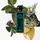 Hermès Eau d'Orange Verte Eau de Cologne 50 ml