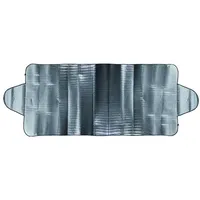 PRO PLUS Anti-Eis-/Sonnenschutzfolie XL, 100x255cm