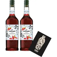 Giffard Grenadine 2er Set Sirup je 1L Himbeere, Brombeere, Johannisbeere, Vanil