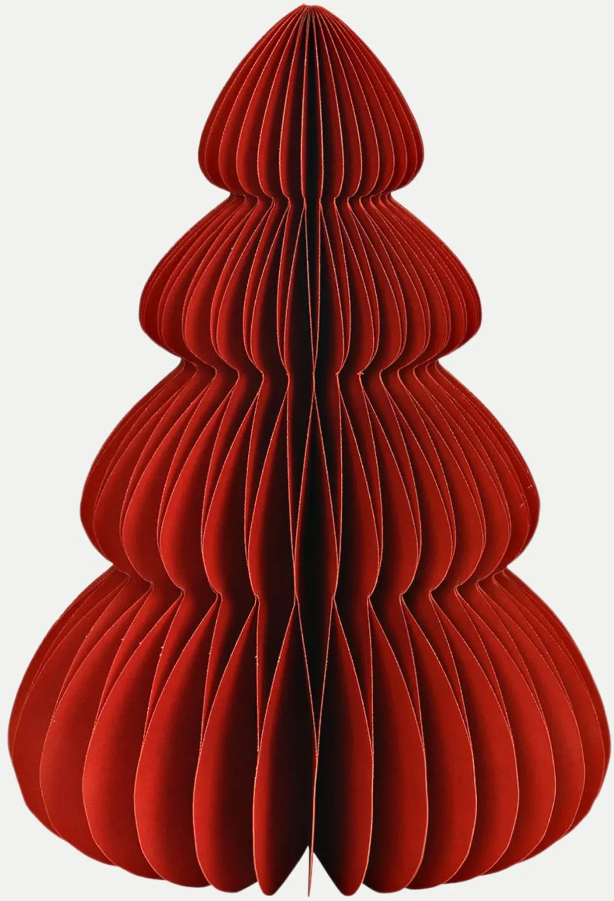 Tannenbaum Honeycomb rot