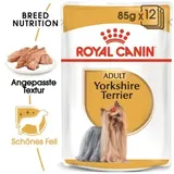 Royal Canin Yorkshire Terrier Adult 12 x 85 g