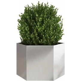 vidaXL Pflanzkübel Sechseckig 69x60x45 Edelstahl