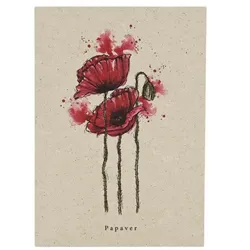 metabooks Postkarte Mohn DINA6