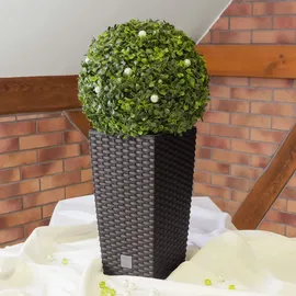 Prosperplast Rato 28,7 x 28,7 x 55 cm Dunkelocker