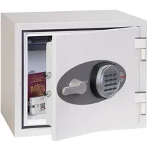 Phoenix Titan FS1281E