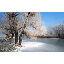 Fototapete PAPERMOON "Winter Fluss", bunt, B:3,50m L:2,60m, Vlies, Tapeten
