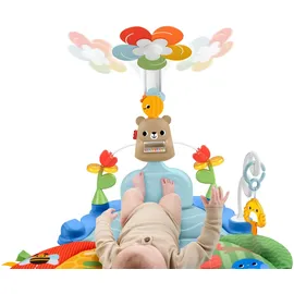Fisher-Price 3-in-1 Kick & Sway Spieldecke mit sensorischen Spielzeugen zur Entwicklung von Neugeborenen