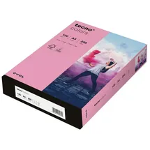 Inapa tecno colors A4 120 g/m2 250 Blatt rosa