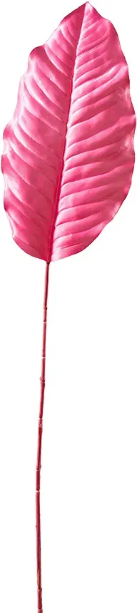 Dieffenbachia Blatt 93cm 4St. pink