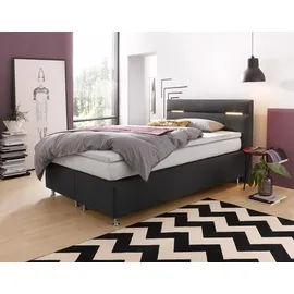 Westfalia Schlafkomfort Boxspringbett 140 x 200 cm H3 Grau
