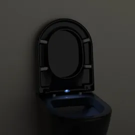 Bernstein WC-Sitz U1002 Schwarz mit LED-Beleuchtung