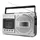 Soundmaster RR20SI silber