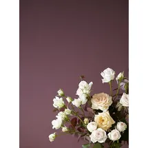 Alpina Feine Farben  2,5 l No. 17 farbe der könige