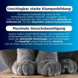 Ever Clean Multiple Cat 10 l