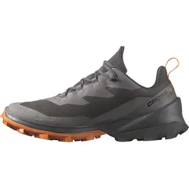 Salomon Wanderschuh »CROSS OVER 2 GORE-TEX®«, wasserdicht Salomon Phantom