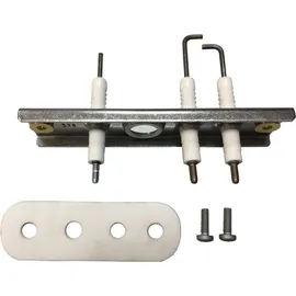 Bosch Elektrode