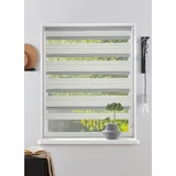 OTTO home Doppelrollo PAGELLA 50 x 150 cm grau