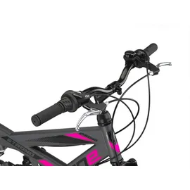 licorne bike gmbh Licorne Bike Strong V Premium 26 Zoll RH 54 cm grau/rosa
