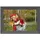 Braun Photo Technik Braun DigiFrame 1098 25,65cm (10,1 ) 16GB