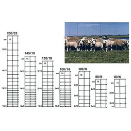 BETAFENCE Ursus Light ZAL 200/22/15 50m