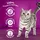 Whiskas 1+ mit Thunfisch 3,8 kg