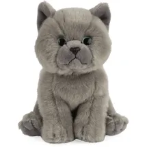 Living Nature Kuscheltier Britisch Kurzhaar Kätzchen grau 16cm Plüsch - Grau