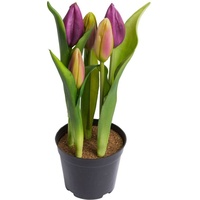 my home Kunstblume »Tulpenpflanze mit 5 Knospen«, lila