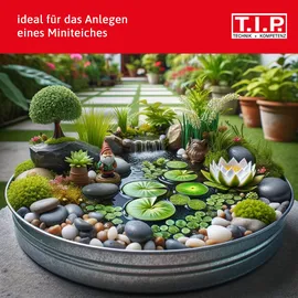T.I.P. Teichpflegemittel Zeolith, 6 l (5,5 kg, im Beutel