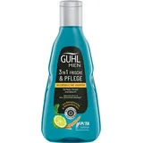 Guhl MEN Frische & Pflege Belebendes 3in1 Shampoo 250 ml