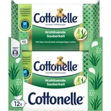 Feuchtes Toilettenpapier, Wohltuende Sauberkeit, Mit Prebiotischer Lotion, Biolo