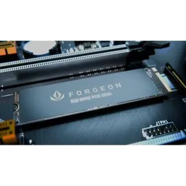 forgeon Nimbus PLUS 1 TB M.2
