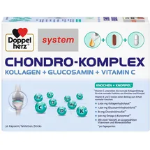 Queisser Pharma Doppelherz Chondro-Komplex system 30 st