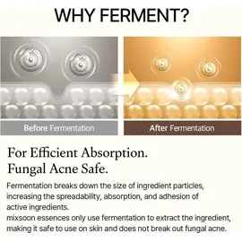 mixsoon Bean Essence Gesichtsserum 50 ml